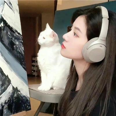孤雁